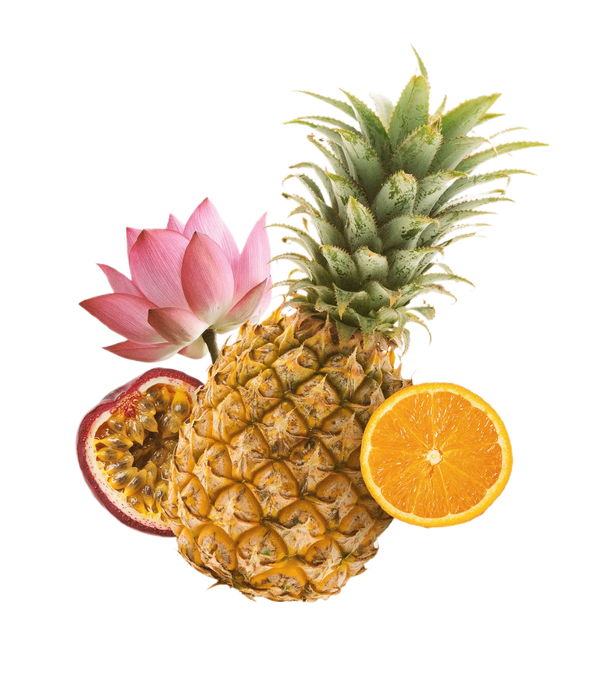 Sundara Bloom