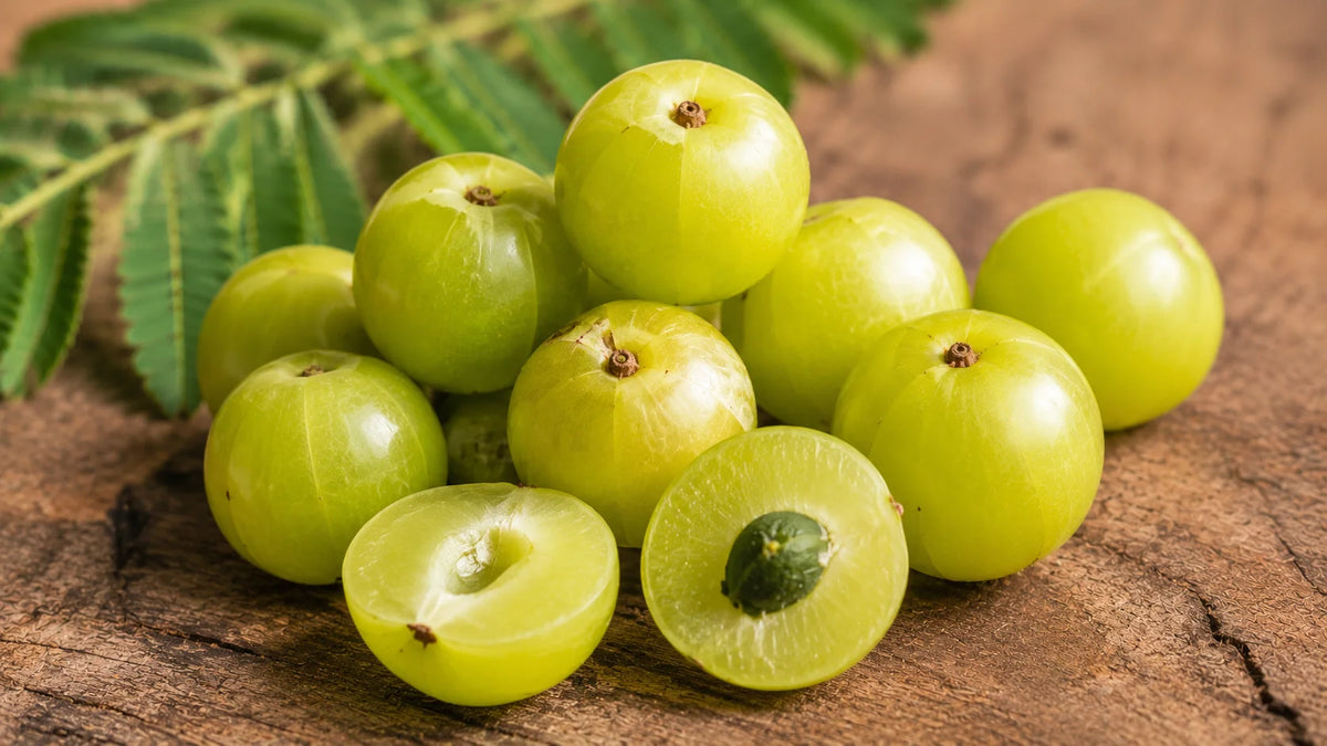Amla Fruit Extract 
