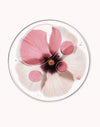 gid://shopify/MediaImage/36711789756657