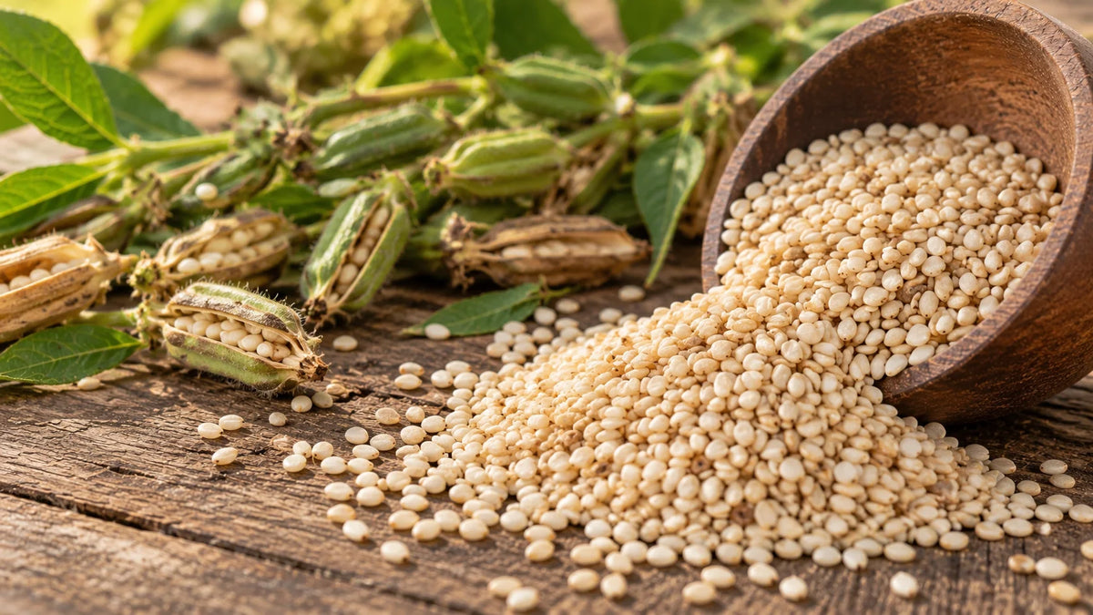 Sesame Oil