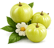 AMLA