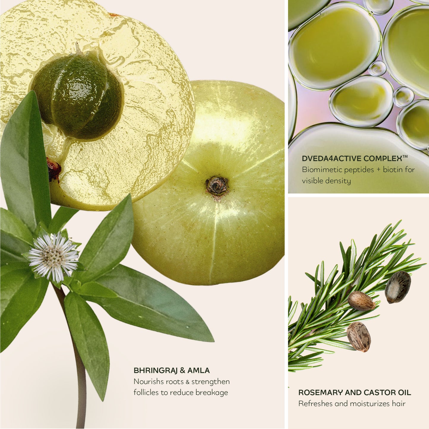 Nourish & Nurture Set