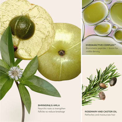 Nourish & Nurture Set