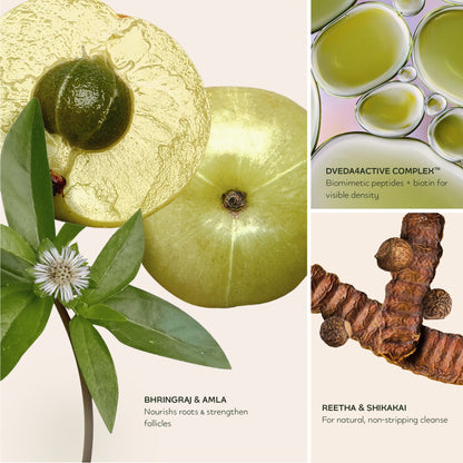 Revive & Thrive Set